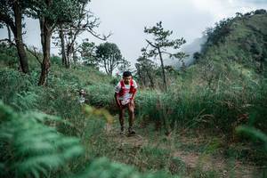 BIB: 
                            <button type="button" onclick="openModal(26098244)" class="btn btn-primary btn-sm float-right btn-popup" data-toggle="modal" data-target=".modal-high-quality">
                        <i class="fas fa-shopping-cart"></i> Add to Cart
                    </button>
                                            <button type="button" onclick="isThisMe(26098244, true)" class="btn btn-success btn-sm float-right btn-popup btn-isme hidden" data-toggle="tooltip" data-placement="bottom" title="นี่คือรูปของคุณใช่ไหม คลิกที่นี่เพื่อเอาเข้าอัลบั้ม">
                        <i class="fas fa-plus"></i> Add to album
                    </button>
                    <button type="button" onclick="isThisMe(26098244, false)" class="btn btn-warning btn-sm float-right btn-popup btn-isnotme hidden">
                        <i class="fas fa-ban"></i> Remove from album
                    </button>