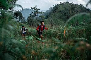 BIB: 
                            <button type="button" onclick="openModal(26094640)" class="btn btn-primary btn-sm float-right btn-popup" data-toggle="modal" data-target=".modal-high-quality">
                        <i class="fas fa-shopping-cart"></i> Add to Cart
                    </button>
                                            <button type="button" onclick="isThisMe(26094640, true)" class="btn btn-success btn-sm float-right btn-popup btn-isme hidden" data-toggle="tooltip" data-placement="bottom" title="นี่คือรูปของคุณใช่ไหม คลิกที่นี่เพื่อเอาเข้าอัลบั้ม">
                        <i class="fas fa-plus"></i> Add to album
                    </button>
                    <button type="button" onclick="isThisMe(26094640, false)" class="btn btn-warning btn-sm float-right btn-popup btn-isnotme hidden">
                        <i class="fas fa-ban"></i> Remove from album
                    </button>