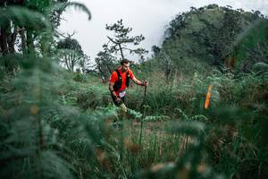 BIB: 
                            <button type="button" onclick="openModal(26089536)" class="btn btn-primary btn-sm float-right btn-popup" data-toggle="modal" data-target=".modal-high-quality">
                        <i class="fas fa-shopping-cart"></i> Add to Cart
                    </button>
                                            <button type="button" onclick="isThisMe(26089536, true)" class="btn btn-success btn-sm float-right btn-popup btn-isme hidden" data-toggle="tooltip" data-placement="bottom" title="นี่คือรูปของคุณใช่ไหม คลิกที่นี่เพื่อเอาเข้าอัลบั้ม">
                        <i class="fas fa-plus"></i> Add to album
                    </button>
                    <button type="button" onclick="isThisMe(26089536, false)" class="btn btn-warning btn-sm float-right btn-popup btn-isnotme hidden">
                        <i class="fas fa-ban"></i> Remove from album
                    </button>