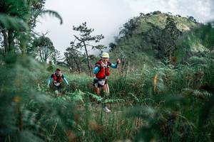 BIB: 
                            <button type="button" onclick="openModal(26089864)" class="btn btn-primary btn-sm float-right btn-popup" data-toggle="modal" data-target=".modal-high-quality">
                        <i class="fas fa-shopping-cart"></i> Add to Cart
                    </button>
                                            <button type="button" onclick="isThisMe(26089864, true)" class="btn btn-success btn-sm float-right btn-popup btn-isme hidden" data-toggle="tooltip" data-placement="bottom" title="นี่คือรูปของคุณใช่ไหม คลิกที่นี่เพื่อเอาเข้าอัลบั้ม">
                        <i class="fas fa-plus"></i> Add to album
                    </button>
                    <button type="button" onclick="isThisMe(26089864, false)" class="btn btn-warning btn-sm float-right btn-popup btn-isnotme hidden">
                        <i class="fas fa-ban"></i> Remove from album
                    </button>