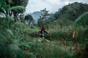 BIB: 
                            <button type="button" onclick="openModal(26094819)" class="btn btn-primary btn-sm float-right btn-popup" data-toggle="modal" data-target=".modal-high-quality">
                        <i class="fas fa-shopping-cart"></i> Add to Cart
                    </button>
                                            <button type="button" onclick="isThisMe(26094819, true)" class="btn btn-success btn-sm float-right btn-popup btn-isme hidden" data-toggle="tooltip" data-placement="bottom" title="นี่คือรูปของคุณใช่ไหม คลิกที่นี่เพื่อเอาเข้าอัลบั้ม">
                        <i class="fas fa-plus"></i> Add to album
                    </button>
                    <button type="button" onclick="isThisMe(26094819, false)" class="btn btn-warning btn-sm float-right btn-popup btn-isnotme hidden">
                        <i class="fas fa-ban"></i> Remove from album
                    </button>