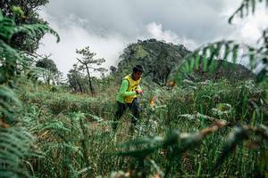 BIB: 
                            <button type="button" onclick="openModal(26085361)" class="btn btn-primary btn-sm float-right btn-popup" data-toggle="modal" data-target=".modal-high-quality">
                        <i class="fas fa-shopping-cart"></i> Add to Cart
                    </button>
                                            <button type="button" onclick="isThisMe(26085361, true)" class="btn btn-success btn-sm float-right btn-popup btn-isme hidden" data-toggle="tooltip" data-placement="bottom" title="นี่คือรูปของคุณใช่ไหม คลิกที่นี่เพื่อเอาเข้าอัลบั้ม">
                        <i class="fas fa-plus"></i> Add to album
                    </button>
                    <button type="button" onclick="isThisMe(26085361, false)" class="btn btn-warning btn-sm float-right btn-popup btn-isnotme hidden">
                        <i class="fas fa-ban"></i> Remove from album
                    </button>