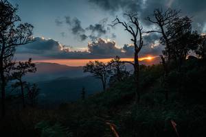 BIB: 
                            <button type="button" onclick="openModal(26121913)" class="btn btn-primary btn-sm float-right btn-popup" data-toggle="modal" data-target=".modal-high-quality">
                        <i class="fas fa-shopping-cart"></i> Add to Cart
                    </button>
                                            <button type="button" onclick="isThisMe(26121913, true)" class="btn btn-success btn-sm float-right btn-popup btn-isme hidden" data-toggle="tooltip" data-placement="bottom" title="นี่คือรูปของคุณใช่ไหม คลิกที่นี่เพื่อเอาเข้าอัลบั้ม">
                        <i class="fas fa-plus"></i> Add to album
                    </button>
                    <button type="button" onclick="isThisMe(26121913, false)" class="btn btn-warning btn-sm float-right btn-popup btn-isnotme hidden">
                        <i class="fas fa-ban"></i> Remove from album
                    </button>