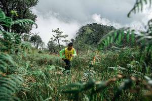 BIB: 
                            <button type="button" onclick="openModal(26085346)" class="btn btn-primary btn-sm float-right btn-popup" data-toggle="modal" data-target=".modal-high-quality">
                        <i class="fas fa-shopping-cart"></i> Add to Cart
                    </button>
                                            <button type="button" onclick="isThisMe(26085346, true)" class="btn btn-success btn-sm float-right btn-popup btn-isme hidden" data-toggle="tooltip" data-placement="bottom" title="นี่คือรูปของคุณใช่ไหม คลิกที่นี่เพื่อเอาเข้าอัลบั้ม">
                        <i class="fas fa-plus"></i> Add to album
                    </button>
                    <button type="button" onclick="isThisMe(26085346, false)" class="btn btn-warning btn-sm float-right btn-popup btn-isnotme hidden">
                        <i class="fas fa-ban"></i> Remove from album
                    </button>