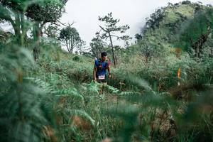 BIB: 
                            <button type="button" onclick="openModal(26088913)" class="btn btn-primary btn-sm float-right btn-popup" data-toggle="modal" data-target=".modal-high-quality">
                        <i class="fas fa-shopping-cart"></i> Add to Cart
                    </button>
                                            <button type="button" onclick="isThisMe(26088913, true)" class="btn btn-success btn-sm float-right btn-popup btn-isme hidden" data-toggle="tooltip" data-placement="bottom" title="นี่คือรูปของคุณใช่ไหม คลิกที่นี่เพื่อเอาเข้าอัลบั้ม">
                        <i class="fas fa-plus"></i> Add to album
                    </button>
                    <button type="button" onclick="isThisMe(26088913, false)" class="btn btn-warning btn-sm float-right btn-popup btn-isnotme hidden">
                        <i class="fas fa-ban"></i> Remove from album
                    </button>