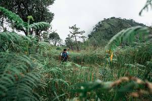 BIB: 
                            <button type="button" onclick="openModal(26085239)" class="btn btn-primary btn-sm float-right btn-popup" data-toggle="modal" data-target=".modal-high-quality">
                        <i class="fas fa-shopping-cart"></i> Add to Cart
                    </button>
                                            <button type="button" onclick="isThisMe(26085239, true)" class="btn btn-success btn-sm float-right btn-popup btn-isme hidden" data-toggle="tooltip" data-placement="bottom" title="นี่คือรูปของคุณใช่ไหม คลิกที่นี่เพื่อเอาเข้าอัลบั้ม">
                        <i class="fas fa-plus"></i> Add to album
                    </button>
                    <button type="button" onclick="isThisMe(26085239, false)" class="btn btn-warning btn-sm float-right btn-popup btn-isnotme hidden">
                        <i class="fas fa-ban"></i> Remove from album
                    </button>