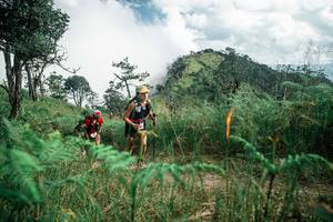 BIB: 
                            <button type="button" onclick="openModal(26087340)" class="btn btn-primary btn-sm float-right btn-popup" data-toggle="modal" data-target=".modal-high-quality">
                        <i class="fas fa-shopping-cart"></i> Add to Cart
                    </button>
                                            <button type="button" onclick="isThisMe(26087340, true)" class="btn btn-success btn-sm float-right btn-popup btn-isme hidden" data-toggle="tooltip" data-placement="bottom" title="นี่คือรูปของคุณใช่ไหม คลิกที่นี่เพื่อเอาเข้าอัลบั้ม">
                        <i class="fas fa-plus"></i> Add to album
                    </button>
                    <button type="button" onclick="isThisMe(26087340, false)" class="btn btn-warning btn-sm float-right btn-popup btn-isnotme hidden">
                        <i class="fas fa-ban"></i> Remove from album
                    </button>