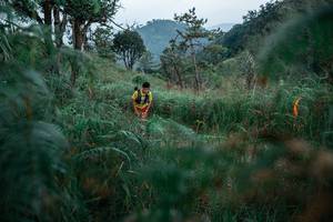 BIB: 
                            <button type="button" onclick="openModal(26119897)" class="btn btn-primary btn-sm float-right btn-popup" data-toggle="modal" data-target=".modal-high-quality">
                        <i class="fas fa-shopping-cart"></i> Add to Cart
                    </button>
                                            <button type="button" onclick="isThisMe(26119897, true)" class="btn btn-success btn-sm float-right btn-popup btn-isme hidden" data-toggle="tooltip" data-placement="bottom" title="นี่คือรูปของคุณใช่ไหม คลิกที่นี่เพื่อเอาเข้าอัลบั้ม">
                        <i class="fas fa-plus"></i> Add to album
                    </button>
                    <button type="button" onclick="isThisMe(26119897, false)" class="btn btn-warning btn-sm float-right btn-popup btn-isnotme hidden">
                        <i class="fas fa-ban"></i> Remove from album
                    </button>