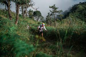 BIB: 
                            <button type="button" onclick="openModal(26100200)" class="btn btn-primary btn-sm float-right btn-popup" data-toggle="modal" data-target=".modal-high-quality">
                        <i class="fas fa-shopping-cart"></i> Add to Cart
                    </button>
                                            <button type="button" onclick="isThisMe(26100200, true)" class="btn btn-success btn-sm float-right btn-popup btn-isme hidden" data-toggle="tooltip" data-placement="bottom" title="นี่คือรูปของคุณใช่ไหม คลิกที่นี่เพื่อเอาเข้าอัลบั้ม">
                        <i class="fas fa-plus"></i> Add to album
                    </button>
                    <button type="button" onclick="isThisMe(26100200, false)" class="btn btn-warning btn-sm float-right btn-popup btn-isnotme hidden">
                        <i class="fas fa-ban"></i> Remove from album
                    </button>