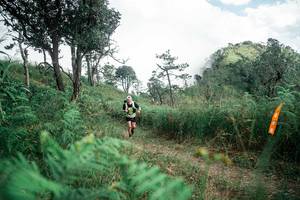 BIB: 
                            <button type="button" onclick="openModal(26087677)" class="btn btn-primary btn-sm float-right btn-popup" data-toggle="modal" data-target=".modal-high-quality">
                        <i class="fas fa-shopping-cart"></i> Add to Cart
                    </button>
                                            <button type="button" onclick="isThisMe(26087677, true)" class="btn btn-success btn-sm float-right btn-popup btn-isme hidden" data-toggle="tooltip" data-placement="bottom" title="นี่คือรูปของคุณใช่ไหม คลิกที่นี่เพื่อเอาเข้าอัลบั้ม">
                        <i class="fas fa-plus"></i> Add to album
                    </button>
                    <button type="button" onclick="isThisMe(26087677, false)" class="btn btn-warning btn-sm float-right btn-popup btn-isnotme hidden">
                        <i class="fas fa-ban"></i> Remove from album
                    </button>