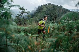 BIB: 
                            <button type="button" onclick="openModal(26094391)" class="btn btn-primary btn-sm float-right btn-popup" data-toggle="modal" data-target=".modal-high-quality">
                        <i class="fas fa-shopping-cart"></i> Add to Cart
                    </button>
                                            <button type="button" onclick="isThisMe(26094391, true)" class="btn btn-success btn-sm float-right btn-popup btn-isme hidden" data-toggle="tooltip" data-placement="bottom" title="นี่คือรูปของคุณใช่ไหม คลิกที่นี่เพื่อเอาเข้าอัลบั้ม">
                        <i class="fas fa-plus"></i> Add to album
                    </button>
                    <button type="button" onclick="isThisMe(26094391, false)" class="btn btn-warning btn-sm float-right btn-popup btn-isnotme hidden">
                        <i class="fas fa-ban"></i> Remove from album
                    </button>