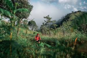 BIB: 
                            <button type="button" onclick="openModal(26101940)" class="btn btn-primary btn-sm float-right btn-popup" data-toggle="modal" data-target=".modal-high-quality">
                        <i class="fas fa-shopping-cart"></i> Add to Cart
                    </button>
                                            <button type="button" onclick="isThisMe(26101940, true)" class="btn btn-success btn-sm float-right btn-popup btn-isme hidden" data-toggle="tooltip" data-placement="bottom" title="นี่คือรูปของคุณใช่ไหม คลิกที่นี่เพื่อเอาเข้าอัลบั้ม">
                        <i class="fas fa-plus"></i> Add to album
                    </button>
                    <button type="button" onclick="isThisMe(26101940, false)" class="btn btn-warning btn-sm float-right btn-popup btn-isnotme hidden">
                        <i class="fas fa-ban"></i> Remove from album
                    </button>