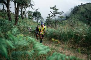 BIB: 
                            <button type="button" onclick="openModal(26092721)" class="btn btn-primary btn-sm float-right btn-popup" data-toggle="modal" data-target=".modal-high-quality">
                        <i class="fas fa-shopping-cart"></i> Add to Cart
                    </button>
                                            <button type="button" onclick="isThisMe(26092721, true)" class="btn btn-success btn-sm float-right btn-popup btn-isme hidden" data-toggle="tooltip" data-placement="bottom" title="นี่คือรูปของคุณใช่ไหม คลิกที่นี่เพื่อเอาเข้าอัลบั้ม">
                        <i class="fas fa-plus"></i> Add to album
                    </button>
                    <button type="button" onclick="isThisMe(26092721, false)" class="btn btn-warning btn-sm float-right btn-popup btn-isnotme hidden">
                        <i class="fas fa-ban"></i> Remove from album
                    </button>