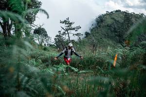 BIB: 
                            <button type="button" onclick="openModal(26088797)" class="btn btn-primary btn-sm float-right btn-popup" data-toggle="modal" data-target=".modal-high-quality">
                        <i class="fas fa-shopping-cart"></i> Add to Cart
                    </button>
                                            <button type="button" onclick="isThisMe(26088797, true)" class="btn btn-success btn-sm float-right btn-popup btn-isme hidden" data-toggle="tooltip" data-placement="bottom" title="นี่คือรูปของคุณใช่ไหม คลิกที่นี่เพื่อเอาเข้าอัลบั้ม">
                        <i class="fas fa-plus"></i> Add to album
                    </button>
                    <button type="button" onclick="isThisMe(26088797, false)" class="btn btn-warning btn-sm float-right btn-popup btn-isnotme hidden">
                        <i class="fas fa-ban"></i> Remove from album
                    </button>