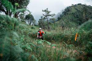 BIB: 
                            <button type="button" onclick="openModal(26091985)" class="btn btn-primary btn-sm float-right btn-popup" data-toggle="modal" data-target=".modal-high-quality">
                        <i class="fas fa-shopping-cart"></i> Add to Cart
                    </button>
                                            <button type="button" onclick="isThisMe(26091985, true)" class="btn btn-success btn-sm float-right btn-popup btn-isme hidden" data-toggle="tooltip" data-placement="bottom" title="นี่คือรูปของคุณใช่ไหม คลิกที่นี่เพื่อเอาเข้าอัลบั้ม">
                        <i class="fas fa-plus"></i> Add to album
                    </button>
                    <button type="button" onclick="isThisMe(26091985, false)" class="btn btn-warning btn-sm float-right btn-popup btn-isnotme hidden">
                        <i class="fas fa-ban"></i> Remove from album
                    </button>