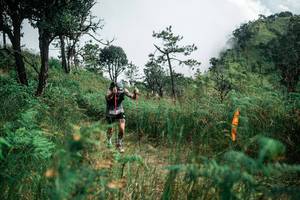 BIB: 
                            <button type="button" onclick="openModal(26085483)" class="btn btn-primary btn-sm float-right btn-popup" data-toggle="modal" data-target=".modal-high-quality">
                        <i class="fas fa-shopping-cart"></i> Add to Cart
                    </button>
                                            <button type="button" onclick="isThisMe(26085483, true)" class="btn btn-success btn-sm float-right btn-popup btn-isme hidden" data-toggle="tooltip" data-placement="bottom" title="นี่คือรูปของคุณใช่ไหม คลิกที่นี่เพื่อเอาเข้าอัลบั้ม">
                        <i class="fas fa-plus"></i> Add to album
                    </button>
                    <button type="button" onclick="isThisMe(26085483, false)" class="btn btn-warning btn-sm float-right btn-popup btn-isnotme hidden">
                        <i class="fas fa-ban"></i> Remove from album
                    </button>