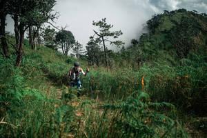 BIB: 
                            <button type="button" onclick="openModal(26087057)" class="btn btn-primary btn-sm float-right btn-popup" data-toggle="modal" data-target=".modal-high-quality">
                        <i class="fas fa-shopping-cart"></i> Add to Cart
                    </button>
                                            <button type="button" onclick="isThisMe(26087057, true)" class="btn btn-success btn-sm float-right btn-popup btn-isme hidden" data-toggle="tooltip" data-placement="bottom" title="นี่คือรูปของคุณใช่ไหม คลิกที่นี่เพื่อเอาเข้าอัลบั้ม">
                        <i class="fas fa-plus"></i> Add to album
                    </button>
                    <button type="button" onclick="isThisMe(26087057, false)" class="btn btn-warning btn-sm float-right btn-popup btn-isnotme hidden">
                        <i class="fas fa-ban"></i> Remove from album
                    </button>