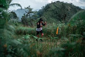 BIB: 
                            <button type="button" onclick="openModal(26094907)" class="btn btn-primary btn-sm float-right btn-popup" data-toggle="modal" data-target=".modal-high-quality">
                        <i class="fas fa-shopping-cart"></i> Add to Cart
                    </button>
                                            <button type="button" onclick="isThisMe(26094907, true)" class="btn btn-success btn-sm float-right btn-popup btn-isme hidden" data-toggle="tooltip" data-placement="bottom" title="นี่คือรูปของคุณใช่ไหม คลิกที่นี่เพื่อเอาเข้าอัลบั้ม">
                        <i class="fas fa-plus"></i> Add to album
                    </button>
                    <button type="button" onclick="isThisMe(26094907, false)" class="btn btn-warning btn-sm float-right btn-popup btn-isnotme hidden">
                        <i class="fas fa-ban"></i> Remove from album
                    </button>