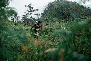 BIB: 
                            <button type="button" onclick="openModal(26086703)" class="btn btn-primary btn-sm float-right btn-popup" data-toggle="modal" data-target=".modal-high-quality">
                        <i class="fas fa-shopping-cart"></i> Add to Cart
                    </button>
                                            <button type="button" onclick="isThisMe(26086703, true)" class="btn btn-success btn-sm float-right btn-popup btn-isme hidden" data-toggle="tooltip" data-placement="bottom" title="นี่คือรูปของคุณใช่ไหม คลิกที่นี่เพื่อเอาเข้าอัลบั้ม">
                        <i class="fas fa-plus"></i> Add to album
                    </button>
                    <button type="button" onclick="isThisMe(26086703, false)" class="btn btn-warning btn-sm float-right btn-popup btn-isnotme hidden">
                        <i class="fas fa-ban"></i> Remove from album
                    </button>