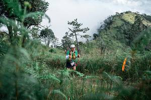 BIB: 
                            <button type="button" onclick="openModal(26090059)" class="btn btn-primary btn-sm float-right btn-popup" data-toggle="modal" data-target=".modal-high-quality">
                        <i class="fas fa-shopping-cart"></i> Add to Cart
                    </button>
                                            <button type="button" onclick="isThisMe(26090059, true)" class="btn btn-success btn-sm float-right btn-popup btn-isme hidden" data-toggle="tooltip" data-placement="bottom" title="นี่คือรูปของคุณใช่ไหม คลิกที่นี่เพื่อเอาเข้าอัลบั้ม">
                        <i class="fas fa-plus"></i> Add to album
                    </button>
                    <button type="button" onclick="isThisMe(26090059, false)" class="btn btn-warning btn-sm float-right btn-popup btn-isnotme hidden">
                        <i class="fas fa-ban"></i> Remove from album
                    </button>