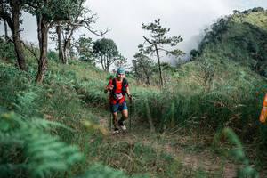 BIB: 
                            <button type="button" onclick="openModal(26100020)" class="btn btn-primary btn-sm float-right btn-popup" data-toggle="modal" data-target=".modal-high-quality">
                        <i class="fas fa-shopping-cart"></i> Add to Cart
                    </button>
                                            <button type="button" onclick="isThisMe(26100020, true)" class="btn btn-success btn-sm float-right btn-popup btn-isme hidden" data-toggle="tooltip" data-placement="bottom" title="นี่คือรูปของคุณใช่ไหม คลิกที่นี่เพื่อเอาเข้าอัลบั้ม">
                        <i class="fas fa-plus"></i> Add to album
                    </button>
                    <button type="button" onclick="isThisMe(26100020, false)" class="btn btn-warning btn-sm float-right btn-popup btn-isnotme hidden">
                        <i class="fas fa-ban"></i> Remove from album
                    </button>