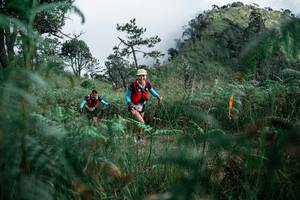 BIB: 
                            <button type="button" onclick="openModal(26089846)" class="btn btn-primary btn-sm float-right btn-popup" data-toggle="modal" data-target=".modal-high-quality">
                        <i class="fas fa-shopping-cart"></i> Add to Cart
                    </button>
                                            <button type="button" onclick="isThisMe(26089846, true)" class="btn btn-success btn-sm float-right btn-popup btn-isme hidden" data-toggle="tooltip" data-placement="bottom" title="นี่คือรูปของคุณใช่ไหม คลิกที่นี่เพื่อเอาเข้าอัลบั้ม">
                        <i class="fas fa-plus"></i> Add to album
                    </button>
                    <button type="button" onclick="isThisMe(26089846, false)" class="btn btn-warning btn-sm float-right btn-popup btn-isnotme hidden">
                        <i class="fas fa-ban"></i> Remove from album
                    </button>