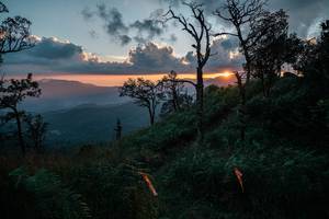 BIB: 
                            <button type="button" onclick="openModal(26121910)" class="btn btn-primary btn-sm float-right btn-popup" data-toggle="modal" data-target=".modal-high-quality">
                        <i class="fas fa-shopping-cart"></i> Add to Cart
                    </button>
                                            <button type="button" onclick="isThisMe(26121910, true)" class="btn btn-success btn-sm float-right btn-popup btn-isme hidden" data-toggle="tooltip" data-placement="bottom" title="นี่คือรูปของคุณใช่ไหม คลิกที่นี่เพื่อเอาเข้าอัลบั้ม">
                        <i class="fas fa-plus"></i> Add to album
                    </button>
                    <button type="button" onclick="isThisMe(26121910, false)" class="btn btn-warning btn-sm float-right btn-popup btn-isnotme hidden">
                        <i class="fas fa-ban"></i> Remove from album
                    </button>