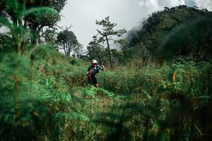 BIB: 
                            <button type="button" onclick="openModal(26086453)" class="btn btn-primary btn-sm float-right btn-popup" data-toggle="modal" data-target=".modal-high-quality">
                        <i class="fas fa-shopping-cart"></i> Add to Cart
                    </button>
                                            <button type="button" onclick="isThisMe(26086453, true)" class="btn btn-success btn-sm float-right btn-popup btn-isme hidden" data-toggle="tooltip" data-placement="bottom" title="นี่คือรูปของคุณใช่ไหม คลิกที่นี่เพื่อเอาเข้าอัลบั้ม">
                        <i class="fas fa-plus"></i> Add to album
                    </button>
                    <button type="button" onclick="isThisMe(26086453, false)" class="btn btn-warning btn-sm float-right btn-popup btn-isnotme hidden">
                        <i class="fas fa-ban"></i> Remove from album
                    </button>