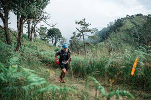 BIB: 
                            <button type="button" onclick="openModal(26092439)" class="btn btn-primary btn-sm float-right btn-popup" data-toggle="modal" data-target=".modal-high-quality">
                        <i class="fas fa-shopping-cart"></i> Add to Cart
                    </button>
                                            <button type="button" onclick="isThisMe(26092439, true)" class="btn btn-success btn-sm float-right btn-popup btn-isme hidden" data-toggle="tooltip" data-placement="bottom" title="นี่คือรูปของคุณใช่ไหม คลิกที่นี่เพื่อเอาเข้าอัลบั้ม">
                        <i class="fas fa-plus"></i> Add to album
                    </button>
                    <button type="button" onclick="isThisMe(26092439, false)" class="btn btn-warning btn-sm float-right btn-popup btn-isnotme hidden">
                        <i class="fas fa-ban"></i> Remove from album
                    </button>