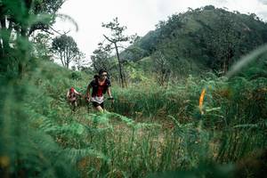 BIB: 
                            <button type="button" onclick="openModal(26085984)" class="btn btn-primary btn-sm float-right btn-popup" data-toggle="modal" data-target=".modal-high-quality">
                        <i class="fas fa-shopping-cart"></i> Add to Cart
                    </button>
                                            <button type="button" onclick="isThisMe(26085984, true)" class="btn btn-success btn-sm float-right btn-popup btn-isme hidden" data-toggle="tooltip" data-placement="bottom" title="นี่คือรูปของคุณใช่ไหม คลิกที่นี่เพื่อเอาเข้าอัลบั้ม">
                        <i class="fas fa-plus"></i> Add to album
                    </button>
                    <button type="button" onclick="isThisMe(26085984, false)" class="btn btn-warning btn-sm float-right btn-popup btn-isnotme hidden">
                        <i class="fas fa-ban"></i> Remove from album
                    </button>