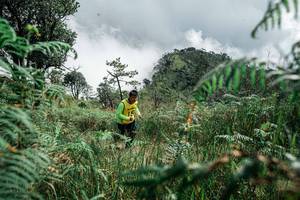 BIB: 
                            <button type="button" onclick="openModal(26085337)" class="btn btn-primary btn-sm float-right btn-popup" data-toggle="modal" data-target=".modal-high-quality">
                        <i class="fas fa-shopping-cart"></i> Add to Cart
                    </button>
                                            <button type="button" onclick="isThisMe(26085337, true)" class="btn btn-success btn-sm float-right btn-popup btn-isme hidden" data-toggle="tooltip" data-placement="bottom" title="นี่คือรูปของคุณใช่ไหม คลิกที่นี่เพื่อเอาเข้าอัลบั้ม">
                        <i class="fas fa-plus"></i> Add to album
                    </button>
                    <button type="button" onclick="isThisMe(26085337, false)" class="btn btn-warning btn-sm float-right btn-popup btn-isnotme hidden">
                        <i class="fas fa-ban"></i> Remove from album
                    </button>