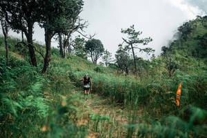 BIB: 
                            <button type="button" onclick="openModal(26085463)" class="btn btn-primary btn-sm float-right btn-popup" data-toggle="modal" data-target=".modal-high-quality">
                        <i class="fas fa-shopping-cart"></i> Add to Cart
                    </button>
                                            <button type="button" onclick="isThisMe(26085463, true)" class="btn btn-success btn-sm float-right btn-popup btn-isme hidden" data-toggle="tooltip" data-placement="bottom" title="นี่คือรูปของคุณใช่ไหม คลิกที่นี่เพื่อเอาเข้าอัลบั้ม">
                        <i class="fas fa-plus"></i> Add to album
                    </button>
                    <button type="button" onclick="isThisMe(26085463, false)" class="btn btn-warning btn-sm float-right btn-popup btn-isnotme hidden">
                        <i class="fas fa-ban"></i> Remove from album
                    </button>