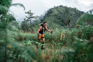 BIB: 
                            <button type="button" onclick="openModal(26092130)" class="btn btn-primary btn-sm float-right btn-popup" data-toggle="modal" data-target=".modal-high-quality">
                        <i class="fas fa-shopping-cart"></i> Add to Cart
                    </button>
                                            <button type="button" onclick="isThisMe(26092130, true)" class="btn btn-success btn-sm float-right btn-popup btn-isme hidden" data-toggle="tooltip" data-placement="bottom" title="นี่คือรูปของคุณใช่ไหม คลิกที่นี่เพื่อเอาเข้าอัลบั้ม">
                        <i class="fas fa-plus"></i> Add to album
                    </button>
                    <button type="button" onclick="isThisMe(26092130, false)" class="btn btn-warning btn-sm float-right btn-popup btn-isnotme hidden">
                        <i class="fas fa-ban"></i> Remove from album
                    </button>