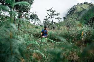 BIB: 
                            <button type="button" onclick="openModal(26088910)" class="btn btn-primary btn-sm float-right btn-popup" data-toggle="modal" data-target=".modal-high-quality">
                        <i class="fas fa-shopping-cart"></i> Add to Cart
                    </button>
                                            <button type="button" onclick="isThisMe(26088910, true)" class="btn btn-success btn-sm float-right btn-popup btn-isme hidden" data-toggle="tooltip" data-placement="bottom" title="นี่คือรูปของคุณใช่ไหม คลิกที่นี่เพื่อเอาเข้าอัลบั้ม">
                        <i class="fas fa-plus"></i> Add to album
                    </button>
                    <button type="button" onclick="isThisMe(26088910, false)" class="btn btn-warning btn-sm float-right btn-popup btn-isnotme hidden">
                        <i class="fas fa-ban"></i> Remove from album
                    </button>