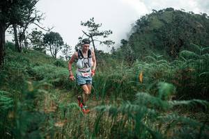 BIB: 
                            <button type="button" onclick="openModal(26085546)" class="btn btn-primary btn-sm float-right btn-popup" data-toggle="modal" data-target=".modal-high-quality">
                        <i class="fas fa-shopping-cart"></i> Add to Cart
                    </button>
                                            <button type="button" onclick="isThisMe(26085546, true)" class="btn btn-success btn-sm float-right btn-popup btn-isme hidden" data-toggle="tooltip" data-placement="bottom" title="นี่คือรูปของคุณใช่ไหม คลิกที่นี่เพื่อเอาเข้าอัลบั้ม">
                        <i class="fas fa-plus"></i> Add to album
                    </button>
                    <button type="button" onclick="isThisMe(26085546, false)" class="btn btn-warning btn-sm float-right btn-popup btn-isnotme hidden">
                        <i class="fas fa-ban"></i> Remove from album
                    </button>