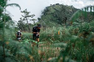 BIB: 
                            <button type="button" onclick="openModal(26089294)" class="btn btn-primary btn-sm float-right btn-popup" data-toggle="modal" data-target=".modal-high-quality">
                        <i class="fas fa-shopping-cart"></i> Add to Cart
                    </button>
                                            <button type="button" onclick="isThisMe(26089294, true)" class="btn btn-success btn-sm float-right btn-popup btn-isme hidden" data-toggle="tooltip" data-placement="bottom" title="นี่คือรูปของคุณใช่ไหม คลิกที่นี่เพื่อเอาเข้าอัลบั้ม">
                        <i class="fas fa-plus"></i> Add to album
                    </button>
                    <button type="button" onclick="isThisMe(26089294, false)" class="btn btn-warning btn-sm float-right btn-popup btn-isnotme hidden">
                        <i class="fas fa-ban"></i> Remove from album
                    </button>