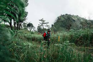 BIB: 
                            <button type="button" onclick="openModal(26085338)" class="btn btn-primary btn-sm float-right btn-popup" data-toggle="modal" data-target=".modal-high-quality">
                        <i class="fas fa-shopping-cart"></i> Add to Cart
                    </button>
                                            <button type="button" onclick="isThisMe(26085338, true)" class="btn btn-success btn-sm float-right btn-popup btn-isme hidden" data-toggle="tooltip" data-placement="bottom" title="นี่คือรูปของคุณใช่ไหม คลิกที่นี่เพื่อเอาเข้าอัลบั้ม">
                        <i class="fas fa-plus"></i> Add to album
                    </button>
                    <button type="button" onclick="isThisMe(26085338, false)" class="btn btn-warning btn-sm float-right btn-popup btn-isnotme hidden">
                        <i class="fas fa-ban"></i> Remove from album
                    </button>