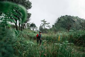 BIB: 
                            <button type="button" onclick="openModal(26085312)" class="btn btn-primary btn-sm float-right btn-popup" data-toggle="modal" data-target=".modal-high-quality">
                        <i class="fas fa-shopping-cart"></i> Add to Cart
                    </button>
                                            <button type="button" onclick="isThisMe(26085312, true)" class="btn btn-success btn-sm float-right btn-popup btn-isme hidden" data-toggle="tooltip" data-placement="bottom" title="นี่คือรูปของคุณใช่ไหม คลิกที่นี่เพื่อเอาเข้าอัลบั้ม">
                        <i class="fas fa-plus"></i> Add to album
                    </button>
                    <button type="button" onclick="isThisMe(26085312, false)" class="btn btn-warning btn-sm float-right btn-popup btn-isnotme hidden">
                        <i class="fas fa-ban"></i> Remove from album
                    </button>