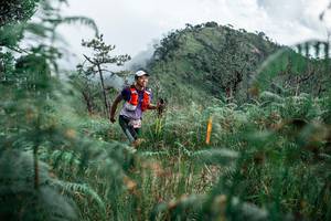 BIB: 
                            <button type="button" onclick="openModal(26091629)" class="btn btn-primary btn-sm float-right btn-popup" data-toggle="modal" data-target=".modal-high-quality">
                        <i class="fas fa-shopping-cart"></i> Add to Cart
                    </button>
                                            <button type="button" onclick="isThisMe(26091629, true)" class="btn btn-success btn-sm float-right btn-popup btn-isme hidden" data-toggle="tooltip" data-placement="bottom" title="นี่คือรูปของคุณใช่ไหม คลิกที่นี่เพื่อเอาเข้าอัลบั้ม">
                        <i class="fas fa-plus"></i> Add to album
                    </button>
                    <button type="button" onclick="isThisMe(26091629, false)" class="btn btn-warning btn-sm float-right btn-popup btn-isnotme hidden">
                        <i class="fas fa-ban"></i> Remove from album
                    </button>