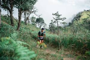 BIB: 
                            <button type="button" onclick="openModal(26099155)" class="btn btn-primary btn-sm float-right btn-popup" data-toggle="modal" data-target=".modal-high-quality">
                        <i class="fas fa-shopping-cart"></i> Add to Cart
                    </button>
                                            <button type="button" onclick="isThisMe(26099155, true)" class="btn btn-success btn-sm float-right btn-popup btn-isme hidden" data-toggle="tooltip" data-placement="bottom" title="นี่คือรูปของคุณใช่ไหม คลิกที่นี่เพื่อเอาเข้าอัลบั้ม">
                        <i class="fas fa-plus"></i> Add to album
                    </button>
                    <button type="button" onclick="isThisMe(26099155, false)" class="btn btn-warning btn-sm float-right btn-popup btn-isnotme hidden">
                        <i class="fas fa-ban"></i> Remove from album
                    </button>