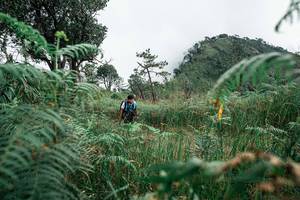 BIB: 
                            <button type="button" onclick="openModal(26085242)" class="btn btn-primary btn-sm float-right btn-popup" data-toggle="modal" data-target=".modal-high-quality">
                        <i class="fas fa-shopping-cart"></i> Add to Cart
                    </button>
                                            <button type="button" onclick="isThisMe(26085242, true)" class="btn btn-success btn-sm float-right btn-popup btn-isme hidden" data-toggle="tooltip" data-placement="bottom" title="นี่คือรูปของคุณใช่ไหม คลิกที่นี่เพื่อเอาเข้าอัลบั้ม">
                        <i class="fas fa-plus"></i> Add to album
                    </button>
                    <button type="button" onclick="isThisMe(26085242, false)" class="btn btn-warning btn-sm float-right btn-popup btn-isnotme hidden">
                        <i class="fas fa-ban"></i> Remove from album
                    </button>