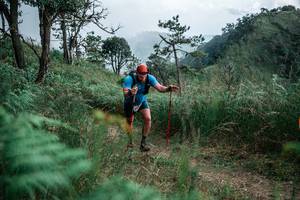 BIB: 
                            <button type="button" onclick="openModal(26096272)" class="btn btn-primary btn-sm float-right btn-popup" data-toggle="modal" data-target=".modal-high-quality">
                        <i class="fas fa-shopping-cart"></i> Add to Cart
                    </button>
                                            <button type="button" onclick="isThisMe(26096272, true)" class="btn btn-success btn-sm float-right btn-popup btn-isme hidden" data-toggle="tooltip" data-placement="bottom" title="นี่คือรูปของคุณใช่ไหม คลิกที่นี่เพื่อเอาเข้าอัลบั้ม">
                        <i class="fas fa-plus"></i> Add to album
                    </button>
                    <button type="button" onclick="isThisMe(26096272, false)" class="btn btn-warning btn-sm float-right btn-popup btn-isnotme hidden">
                        <i class="fas fa-ban"></i> Remove from album
                    </button>