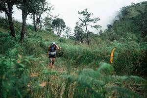 BIB: 
                            <button type="button" onclick="openModal(26085866)" class="btn btn-primary btn-sm float-right btn-popup" data-toggle="modal" data-target=".modal-high-quality">
                        <i class="fas fa-shopping-cart"></i> Add to Cart
                    </button>
                                            <button type="button" onclick="isThisMe(26085866, true)" class="btn btn-success btn-sm float-right btn-popup btn-isme hidden" data-toggle="tooltip" data-placement="bottom" title="นี่คือรูปของคุณใช่ไหม คลิกที่นี่เพื่อเอาเข้าอัลบั้ม">
                        <i class="fas fa-plus"></i> Add to album
                    </button>
                    <button type="button" onclick="isThisMe(26085866, false)" class="btn btn-warning btn-sm float-right btn-popup btn-isnotme hidden">
                        <i class="fas fa-ban"></i> Remove from album
                    </button>