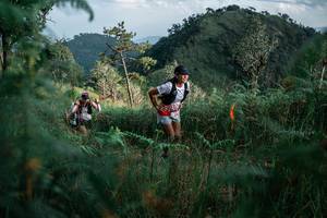 BIB: 
                            <button type="button" onclick="openModal(26120270)" class="btn btn-primary btn-sm float-right btn-popup" data-toggle="modal" data-target=".modal-high-quality">
                        <i class="fas fa-shopping-cart"></i> Add to Cart
                    </button>
                                            <button type="button" onclick="isThisMe(26120270, true)" class="btn btn-success btn-sm float-right btn-popup btn-isme hidden" data-toggle="tooltip" data-placement="bottom" title="นี่คือรูปของคุณใช่ไหม คลิกที่นี่เพื่อเอาเข้าอัลบั้ม">
                        <i class="fas fa-plus"></i> Add to album
                    </button>
                    <button type="button" onclick="isThisMe(26120270, false)" class="btn btn-warning btn-sm float-right btn-popup btn-isnotme hidden">
                        <i class="fas fa-ban"></i> Remove from album
                    </button>