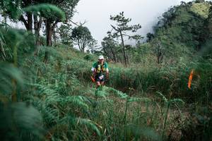 BIB: 
                            <button type="button" onclick="openModal(26090046)" class="btn btn-primary btn-sm float-right btn-popup" data-toggle="modal" data-target=".modal-high-quality">
                        <i class="fas fa-shopping-cart"></i> Add to Cart
                    </button>
                                            <button type="button" onclick="isThisMe(26090046, true)" class="btn btn-success btn-sm float-right btn-popup btn-isme hidden" data-toggle="tooltip" data-placement="bottom" title="นี่คือรูปของคุณใช่ไหม คลิกที่นี่เพื่อเอาเข้าอัลบั้ม">
                        <i class="fas fa-plus"></i> Add to album
                    </button>
                    <button type="button" onclick="isThisMe(26090046, false)" class="btn btn-warning btn-sm float-right btn-popup btn-isnotme hidden">
                        <i class="fas fa-ban"></i> Remove from album
                    </button>