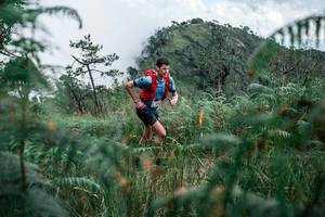 BIB: 
                            <button type="button" onclick="openModal(26089463)" class="btn btn-primary btn-sm float-right btn-popup" data-toggle="modal" data-target=".modal-high-quality">
                        <i class="fas fa-shopping-cart"></i> Add to Cart
                    </button>
                                            <button type="button" onclick="isThisMe(26089463, true)" class="btn btn-success btn-sm float-right btn-popup btn-isme hidden" data-toggle="tooltip" data-placement="bottom" title="นี่คือรูปของคุณใช่ไหม คลิกที่นี่เพื่อเอาเข้าอัลบั้ม">
                        <i class="fas fa-plus"></i> Add to album
                    </button>
                    <button type="button" onclick="isThisMe(26089463, false)" class="btn btn-warning btn-sm float-right btn-popup btn-isnotme hidden">
                        <i class="fas fa-ban"></i> Remove from album
                    </button>