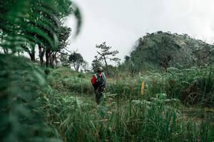 BIB: 
                            <button type="button" onclick="openModal(26085327)" class="btn btn-primary btn-sm float-right btn-popup" data-toggle="modal" data-target=".modal-high-quality">
                        <i class="fas fa-shopping-cart"></i> Add to Cart
                    </button>
                                            <button type="button" onclick="isThisMe(26085327, true)" class="btn btn-success btn-sm float-right btn-popup btn-isme hidden" data-toggle="tooltip" data-placement="bottom" title="นี่คือรูปของคุณใช่ไหม คลิกที่นี่เพื่อเอาเข้าอัลบั้ม">
                        <i class="fas fa-plus"></i> Add to album
                    </button>
                    <button type="button" onclick="isThisMe(26085327, false)" class="btn btn-warning btn-sm float-right btn-popup btn-isnotme hidden">
                        <i class="fas fa-ban"></i> Remove from album
                    </button>