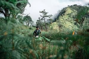 BIB: 
                            <button type="button" onclick="openModal(26093563)" class="btn btn-primary btn-sm float-right btn-popup" data-toggle="modal" data-target=".modal-high-quality">
                        <i class="fas fa-shopping-cart"></i> Add to Cart
                    </button>
                                            <button type="button" onclick="isThisMe(26093563, true)" class="btn btn-success btn-sm float-right btn-popup btn-isme hidden" data-toggle="tooltip" data-placement="bottom" title="นี่คือรูปของคุณใช่ไหม คลิกที่นี่เพื่อเอาเข้าอัลบั้ม">
                        <i class="fas fa-plus"></i> Add to album
                    </button>
                    <button type="button" onclick="isThisMe(26093563, false)" class="btn btn-warning btn-sm float-right btn-popup btn-isnotme hidden">
                        <i class="fas fa-ban"></i> Remove from album
                    </button>