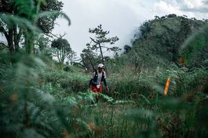 BIB: 
                            <button type="button" onclick="openModal(26088795)" class="btn btn-primary btn-sm float-right btn-popup" data-toggle="modal" data-target=".modal-high-quality">
                        <i class="fas fa-shopping-cart"></i> Add to Cart
                    </button>
                                            <button type="button" onclick="isThisMe(26088795, true)" class="btn btn-success btn-sm float-right btn-popup btn-isme hidden" data-toggle="tooltip" data-placement="bottom" title="นี่คือรูปของคุณใช่ไหม คลิกที่นี่เพื่อเอาเข้าอัลบั้ม">
                        <i class="fas fa-plus"></i> Add to album
                    </button>
                    <button type="button" onclick="isThisMe(26088795, false)" class="btn btn-warning btn-sm float-right btn-popup btn-isnotme hidden">
                        <i class="fas fa-ban"></i> Remove from album
                    </button>