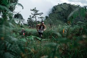 BIB: 
                            <button type="button" onclick="openModal(26088719)" class="btn btn-primary btn-sm float-right btn-popup" data-toggle="modal" data-target=".modal-high-quality">
                        <i class="fas fa-shopping-cart"></i> Add to Cart
                    </button>
                                            <button type="button" onclick="isThisMe(26088719, true)" class="btn btn-success btn-sm float-right btn-popup btn-isme hidden" data-toggle="tooltip" data-placement="bottom" title="นี่คือรูปของคุณใช่ไหม คลิกที่นี่เพื่อเอาเข้าอัลบั้ม">
                        <i class="fas fa-plus"></i> Add to album
                    </button>
                    <button type="button" onclick="isThisMe(26088719, false)" class="btn btn-warning btn-sm float-right btn-popup btn-isnotme hidden">
                        <i class="fas fa-ban"></i> Remove from album
                    </button>